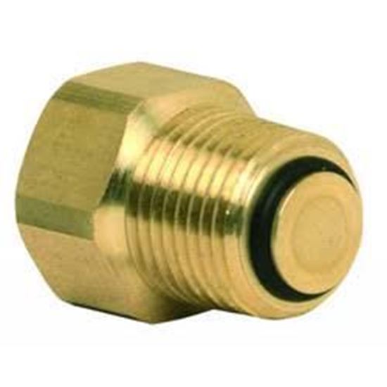 Picture of 1/2" SERVICE CHECK VALVE For Honeywell Part# SCV-050