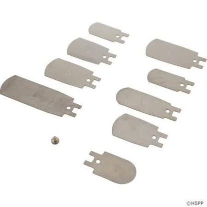 Picture of FLOW SWITCH PADDLE KIT For Raypak Part# 010026F