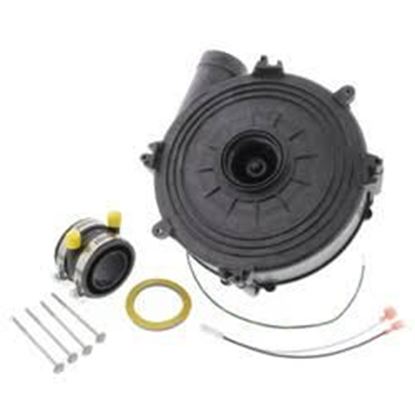 Picture of Inducer Assembly For Carrier Part# 333710-751