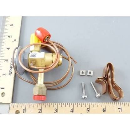 Picture of Expansion Valve For Carrier Part# EA36DC333
