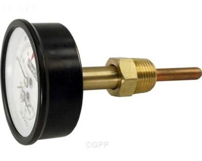 Picture of Tridicator Gauge 0/200#1/2"Bck For Raypak Part# 007399F