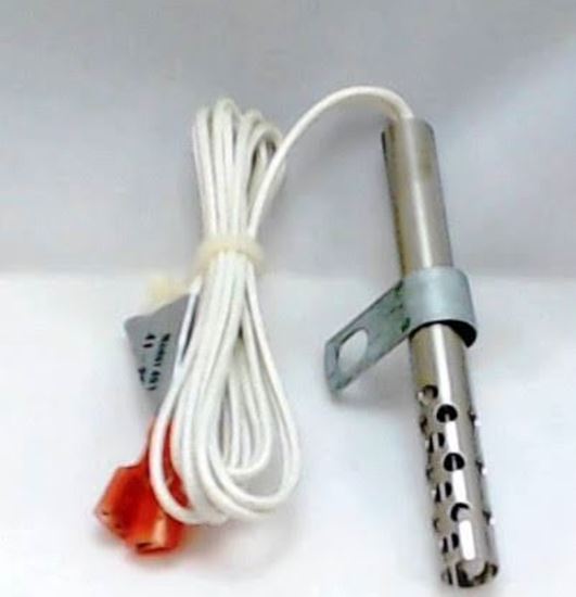Picture of IGNITOR 24vac For Robertshaw Part# 41-224