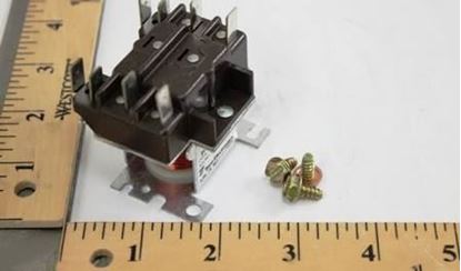 Picture of DPST 24V NO Relay For Raypak Part# 007376F