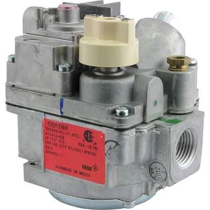 Picture of LP Gas Valve Kit For Rheem-Ruud Part# SP5870C