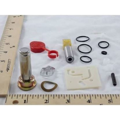 Picture of REBUILD KIT For ASCO Part# 302-755