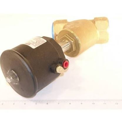 Picture of 2"NC BRZ 0-90# STEAM-UND DISC  For ASCO Part# 8290A25