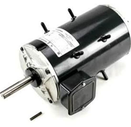 Picture of MOTOR w/Low Ambient Control For Carrier Part# HD56AK656