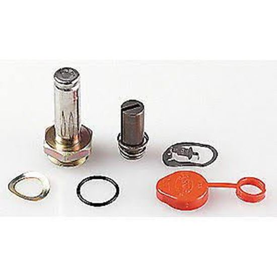 Picture of VITON REPAIR KIT For ASCO Part# 302-022-V