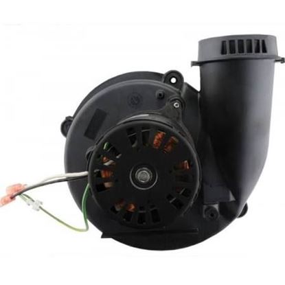 Picture of 120V Induced Draft Blwr W/Gskt For Rheem-Ruud Part# 70-24071-95