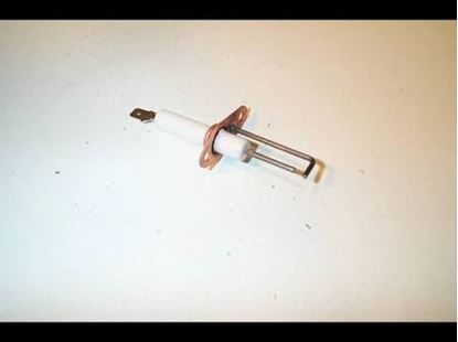Picture of ELECTRODE ASSEMBLY For Fenwal Part# 22-100001-052