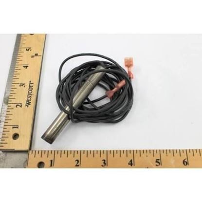 Picture of 460v 125W 3/8"Dia 3 3/4"Insert For Carrier Part# HT36DL481