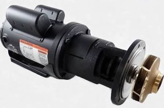 Picture of 3/4hp Pump & Motor Assembly For Laars Heating Systems Part# RA2117203
