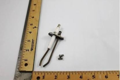 Picture of IGNITOR For Raypak Part# 013167F