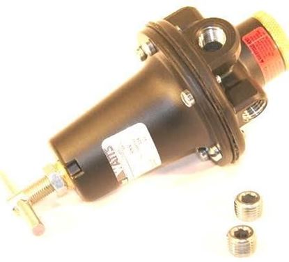 Picture of 1/4"Reg300#in,0/60# For Parker Watts Fluid Air Part# R119-02B