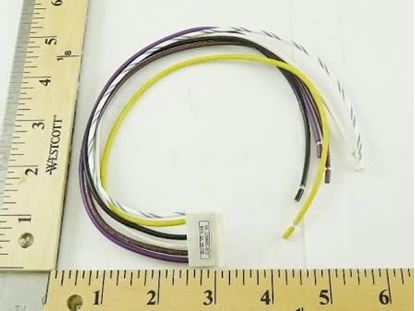 Picture of 7 PinWiringHarnessRemoteSense For Fenwal Part# 05-129893-012
