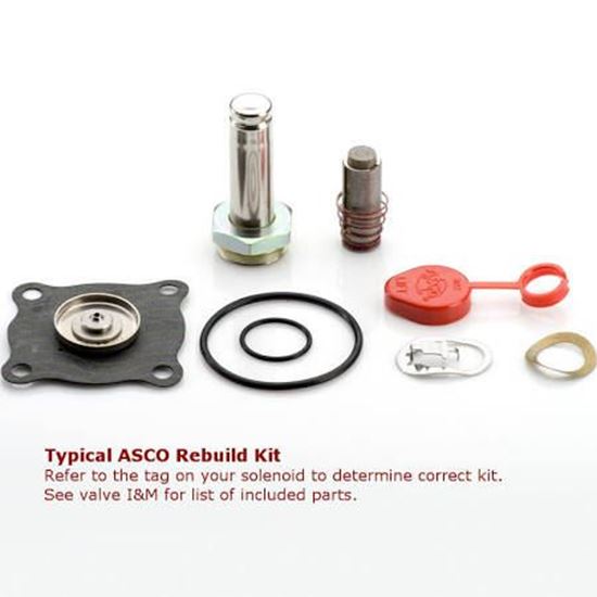 Picture of REBUILD KIT For ASCO Part# 302-836