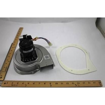 Picture of InducerBlower 208/230v1ph3480 For Trane Part# BLW1311