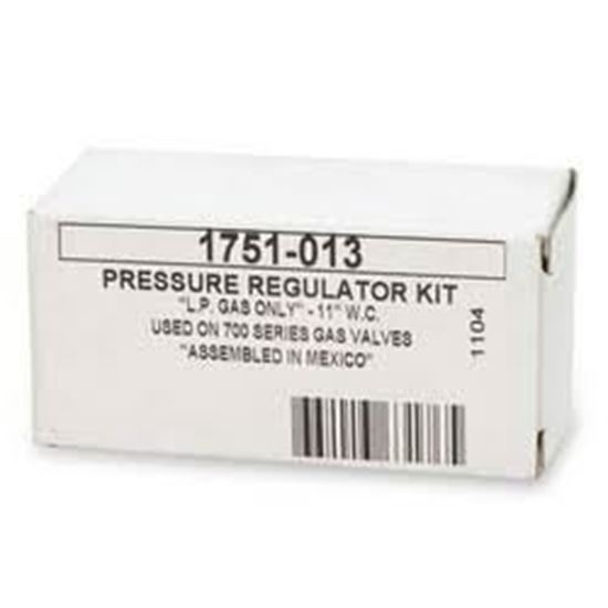 Picture of Nat->LP GasCnvKit - 722 Series For Robertshaw Part# 1751-025