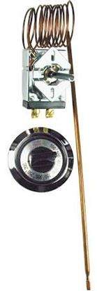 Picture of 175/550F,5'CAP,OPEN-HI,T STAT For Robertshaw Part# 5300-651