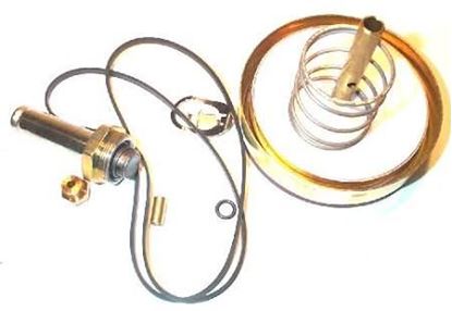Picture of ASCO REPAIR KIT For ASCO Part# 306-807