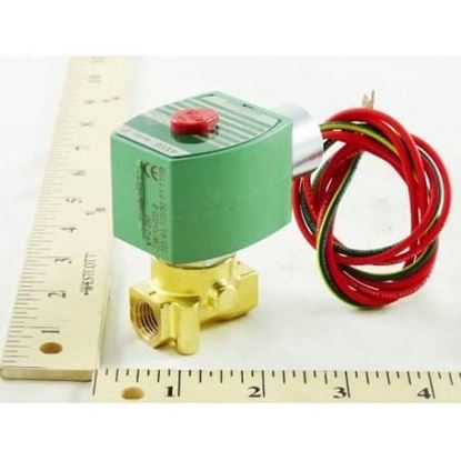 Picture of 1/4",N/C,0/30#,TEFLON TRIM For ASCO Part# 8262H13T