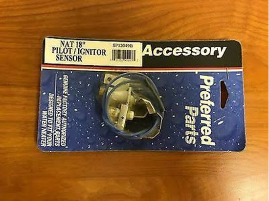 Picture of Pilot/Cable Assembly For Rheem-Ruud Part# SP12049B