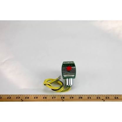 Picture of 1/4" NC SS 0/130#AIR 0-110#WTR For ASCO Part# 8262H7-24VDC