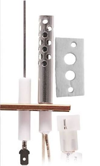 Picture of Ignitor/Flame Sensor Assembly For Laars Heating Systems Part# 2400-138