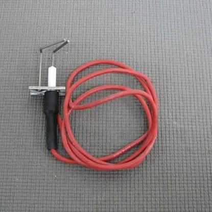Picture of IGNITOR SENSOR For Carrier Part# LH33WZ006
