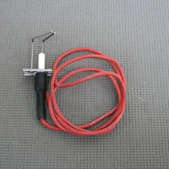 Picture of IGNITOR SENSOR For Carrier Part# LH33WZ006