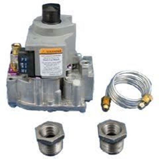 Picture of SparkIgnitionNatGasValve For Raypak Part# 003900F