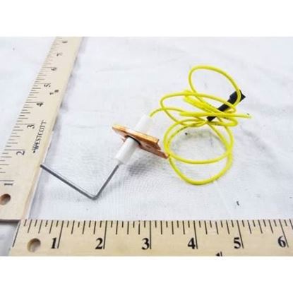 Picture of Flame Sensor For Carrier Part# LH33WZ007