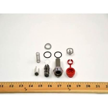 Picture of REBUILD KIT For ASCO Part# 302-118