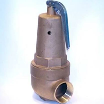 Picture of 2x2.5"50# H/W  8,900,000 BTU For Conbraco Industries Part# 10-618-10