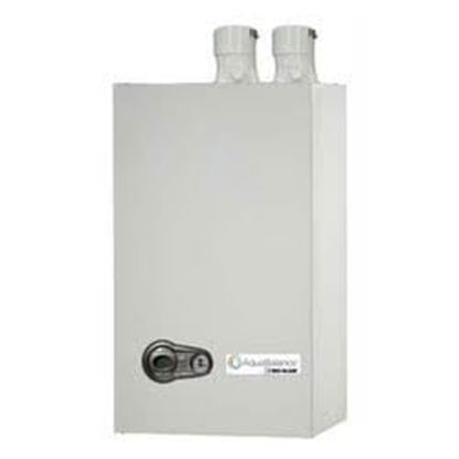 Picture of ACCESS PANEL For Weil McLain Part# 460-003-744