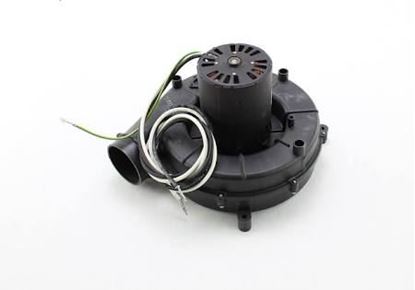 Picture of Combustion Assembly For Raypak Part# 005710F