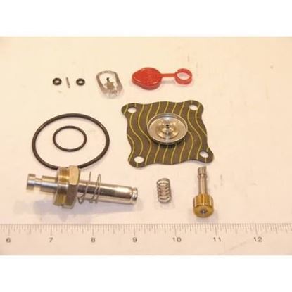 Picture of REBUILD KIT For ASCO Part# 302-273-MO