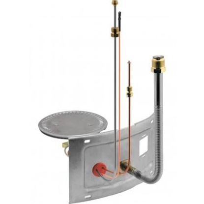 Picture of Burner Assembly For Rheem-Ruud Part# AM39859-1
