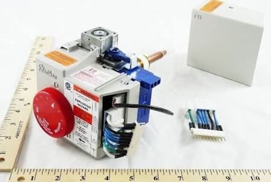 Picture of NG Comb Valve Replacement Kit For Rheem-Ruud Part# SP20161A
