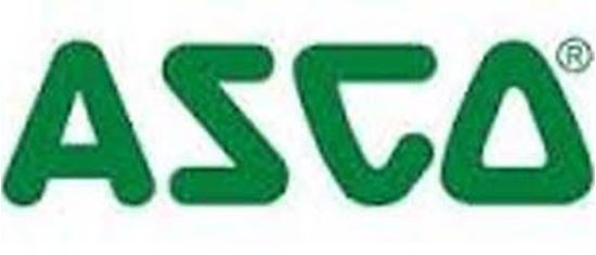 Picture of REPAIR KIT For ASCO Part# 323-593-V