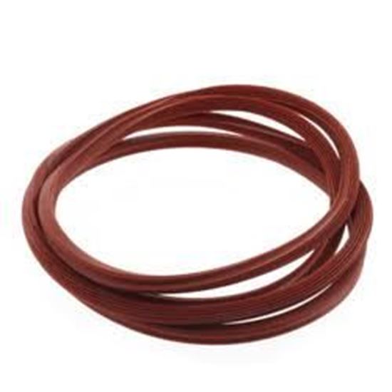 Picture of Cover Plate Gasket For Weil McLain Part# 383-500-255