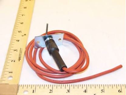 Picture of Electrode Ignitor with Wire For Carrier Part# 48DP500623