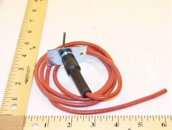 Picture of Electrode Ignitor with Wire For Carrier Part# 48DP500623