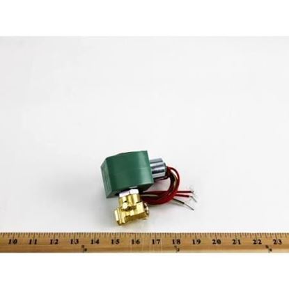 Picture of 1/4"NC 0-210#Air200#Wtr145#Oil For ASCO Part# 8262H202-480V