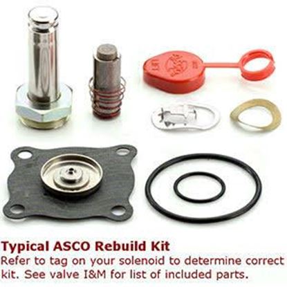 Picture of REBUILD KIT For ASCO Part# 308-468