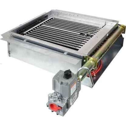 Picture of Burner Tray/Manifold Assembly For Rheem-Ruud Part# AM29091BC