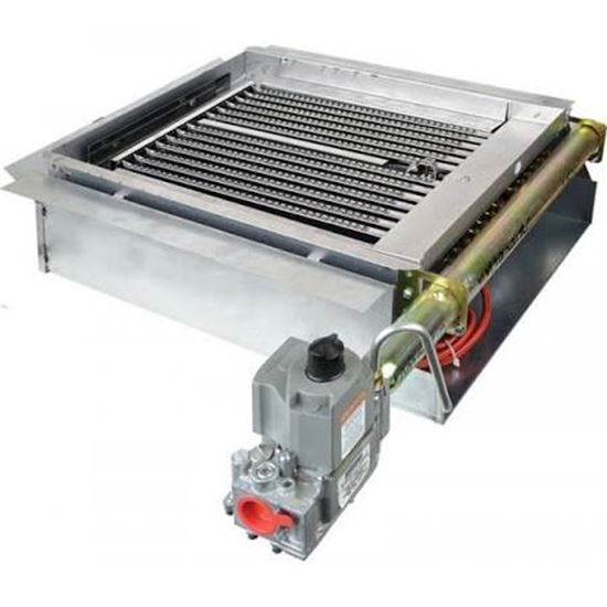 Picture of Burner Tray/Manifold Assembly For Rheem-Ruud Part# AM29091BC