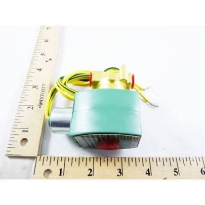 Picture of 1/4" N/C 0-65#Air63#WtrLtOil For ASCO Part# 8262H202-12VDC
