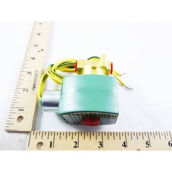 Picture of 1/4" N/C 0-65#Air63#WtrLtOil For ASCO Part# 8262H202-12VDC