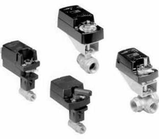 Picture of 2 2W BALL VALVE 29.2CV    For Johnson Controls Part# VG1241FR